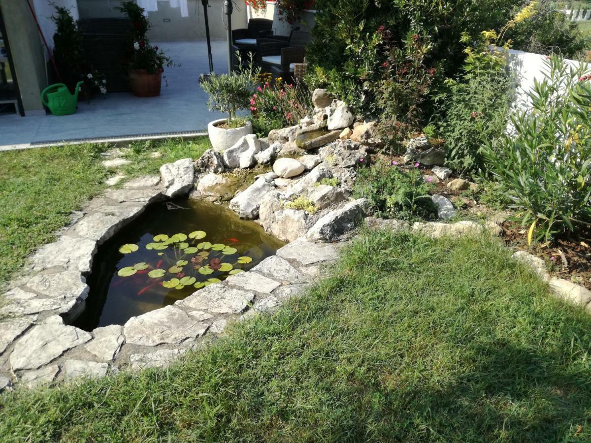 B&B Sobe Lusina Secovlje Bagian luar foto